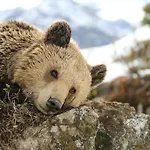 Valsana - Small Luxury Of The World 4*
