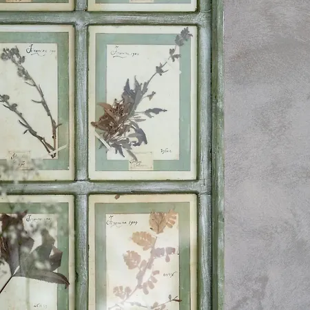 Valsana - Small Luxury 酒店 4*